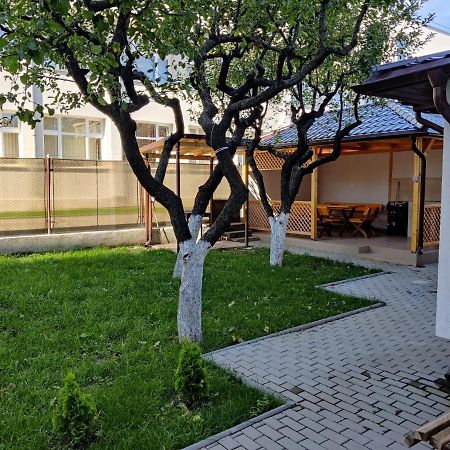 Gasthaus Casa Marina Călimăneşti Exterior foto