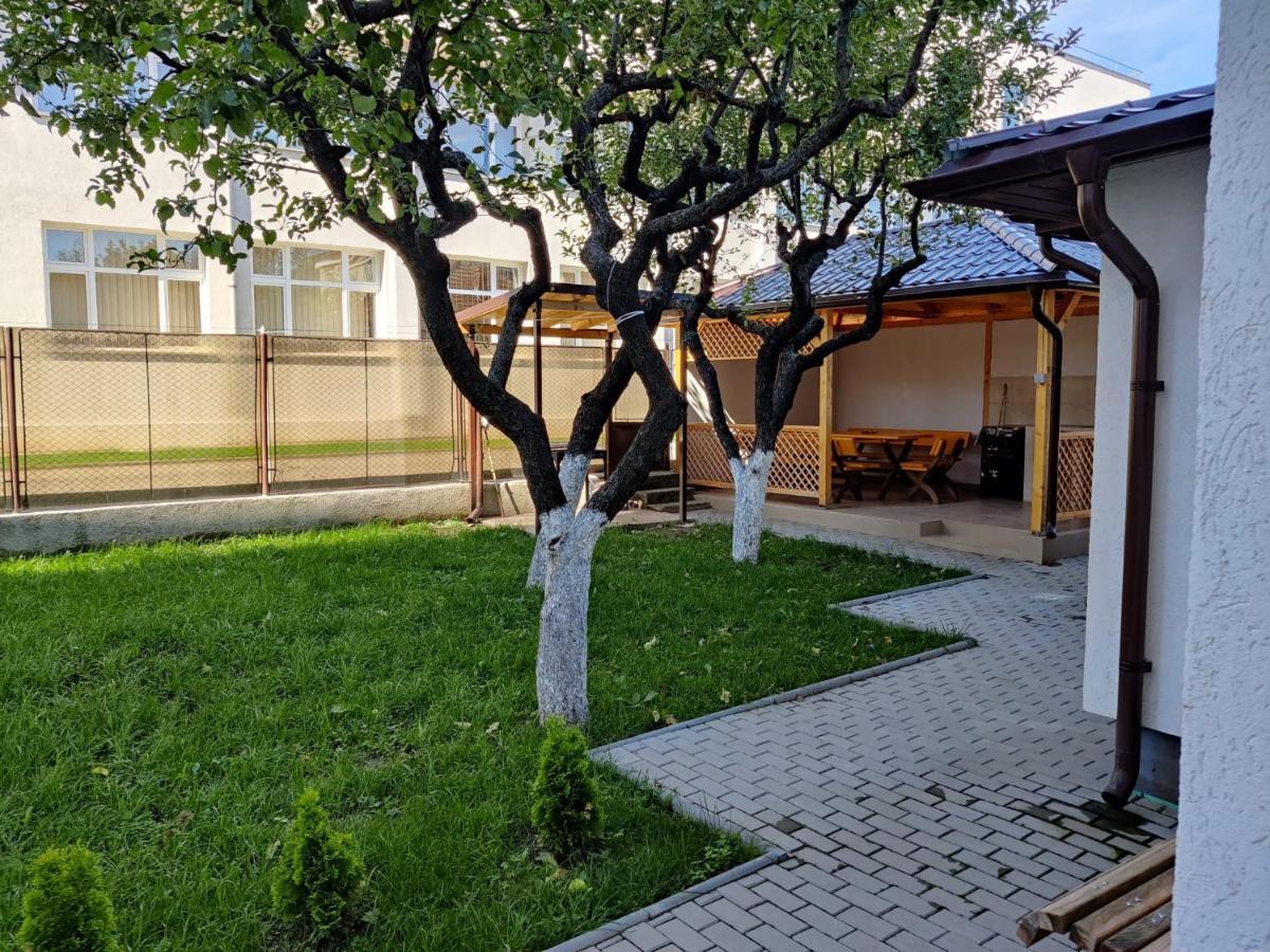 Gasthaus Casa Marina Călimăneşti Exterior foto